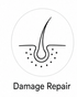 Damage Repair