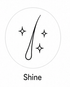 Shine